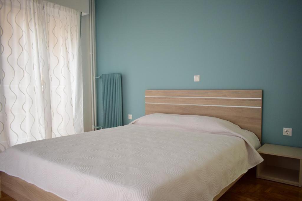 Beautiful Renovated Flat In Athens Daire Dış mekan fotoğraf