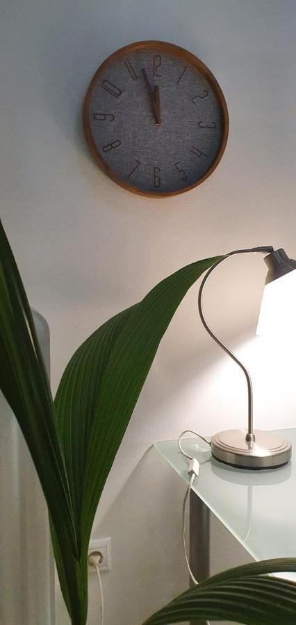 Beautiful Renovated Flat In Athens Daire Dış mekan fotoğraf